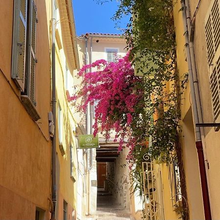 Appartement Palmiers, Coeur De Ville Sur Le Parcours Des Arts Hyeres Exterior photo